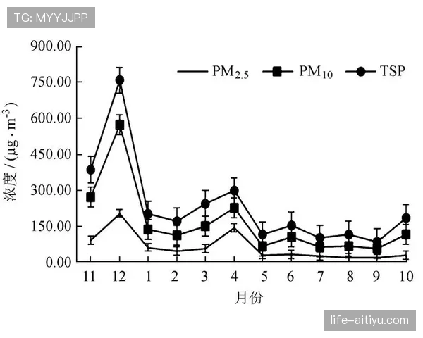 杜埃的进攻参与度与效率：数据表现是否真实反映其贡献？